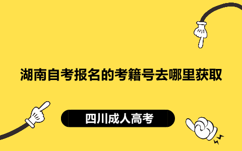 湖南自考報名
