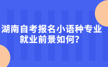 湖南自考報名小語種專業就業前景如何?